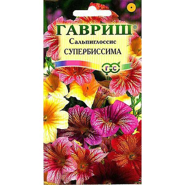 Сальпиглоссис Купить