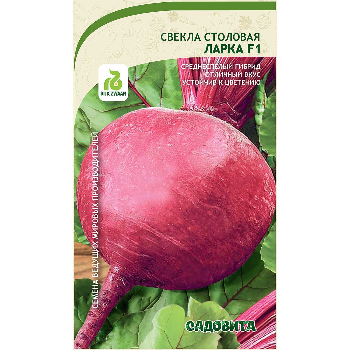 Купить Семена Свеклы Рафинад