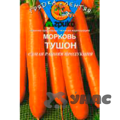 Морковь норвегия