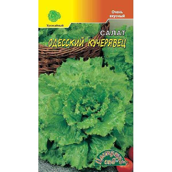 Салат одесский кучерявец схема посадки