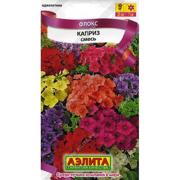 Флоксы Однолетние Купить Семена