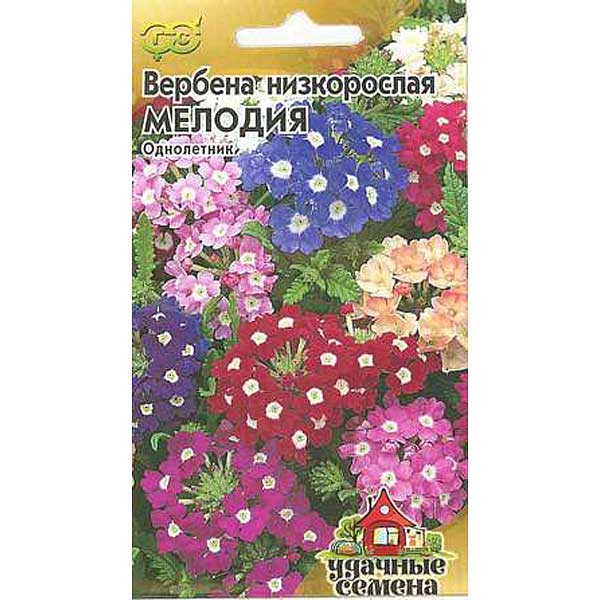 Вербена мелодия. Вербена гибридная смесь. Вербена мелодия смесь. Вербена гибридная мелодия. Вербена мелодия, смесь 0,1г ц/п (Гавриш) уд.с. ото.